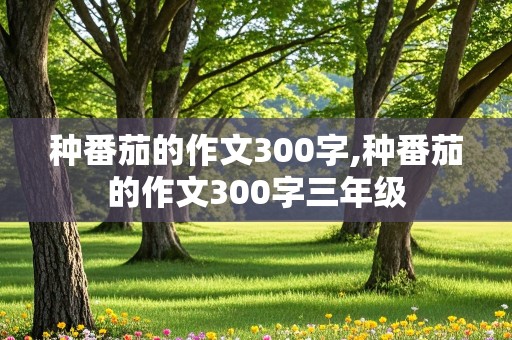 种番茄的作文300字,种番茄的作文300字三年级