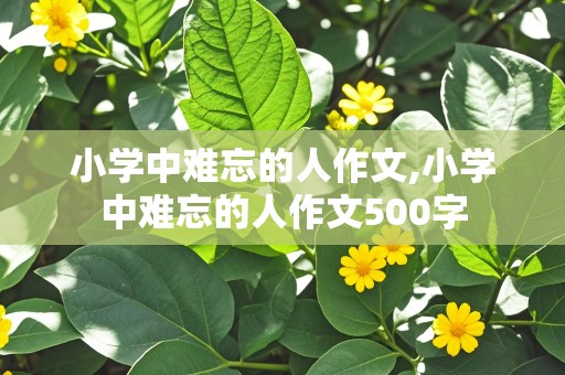 小学中难忘的人作文,小学中难忘的人作文500字