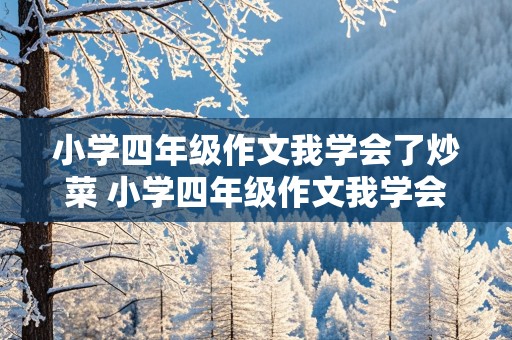 小学四年级作文我学会了炒菜 小学四年级作文我学会了炒菜350字