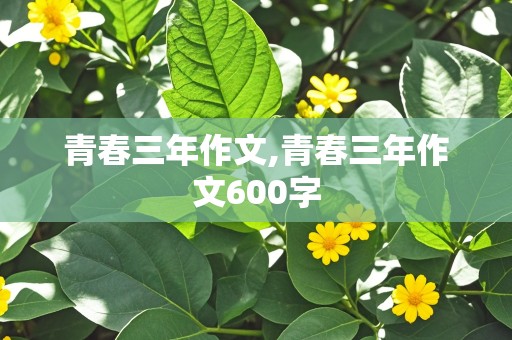 青春三年作文,青春三年作文600字