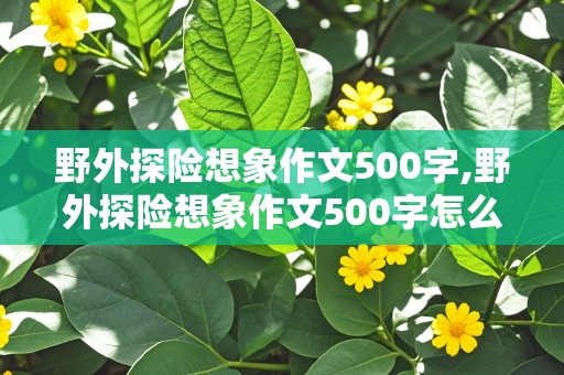 野外探险想象作文500字,野外探险想象作文500字怎么写