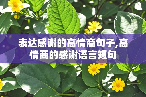 表达感谢的高情商句子,高情商的感谢语言短句