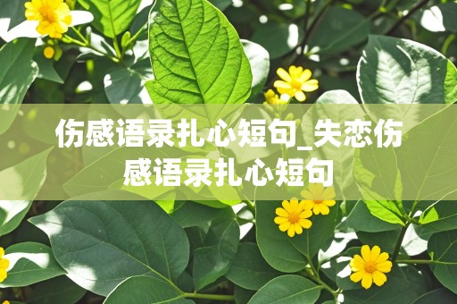 伤感语录扎心短句_失恋伤感语录扎心短句