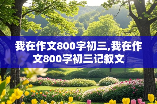 我在作文800字初三,我在作文800字初三记叙文