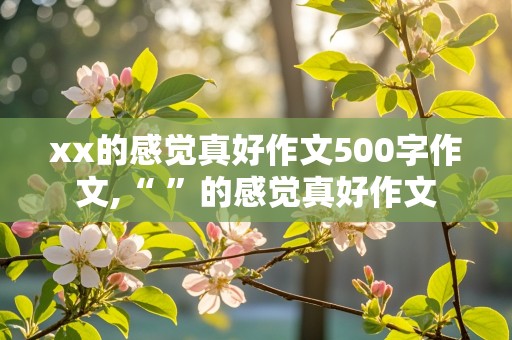 xx的感觉真好作文500字作文,“ ”的感觉真好作文