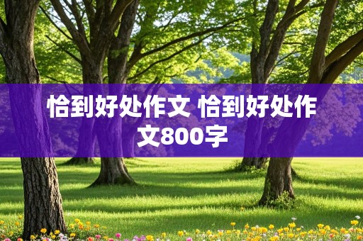 恰到好处作文 恰到好处作文800字