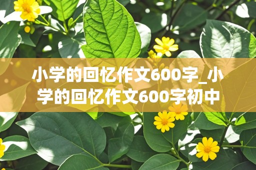 小学的回忆作文600字_小学的回忆作文600字初中