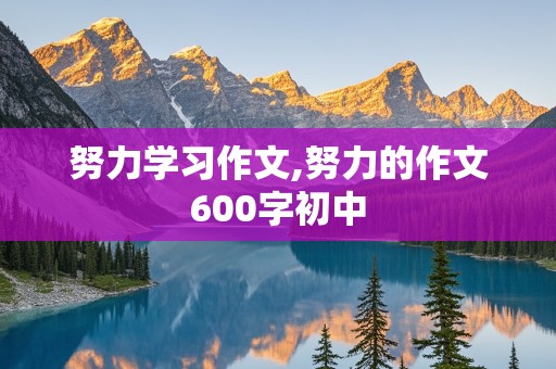 努力学习作文,努力的作文600字初中