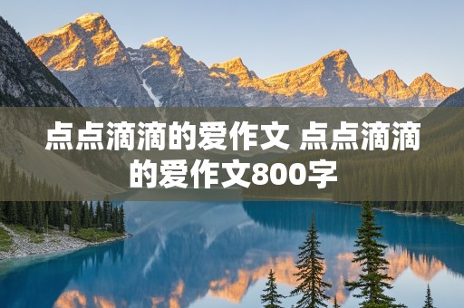 点点滴滴的爱作文 点点滴滴的爱作文800字