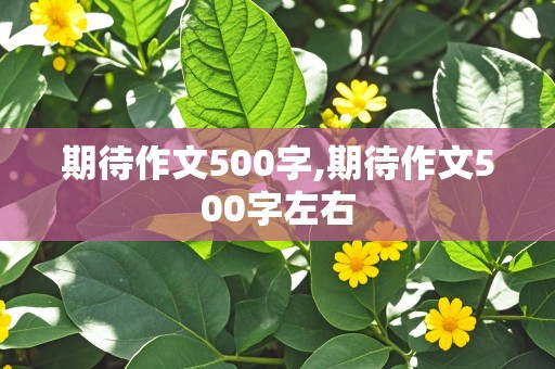 期待作文500字,期待作文500字左右