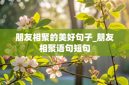 朋友相聚的美好句子_朋友相聚语句短句