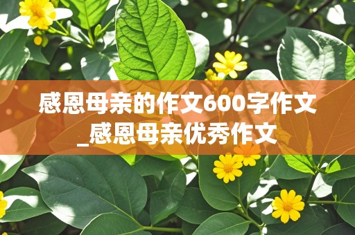 感恩母亲的作文600字作文_感恩母亲优秀作文