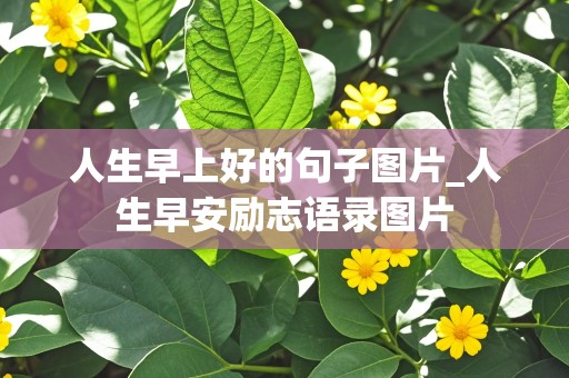 人生早上好的句子图片_人生早安励志语录图片