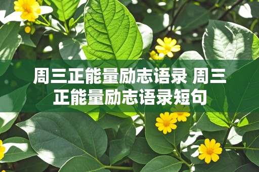 周三正能量励志语录 周三正能量励志语录短句