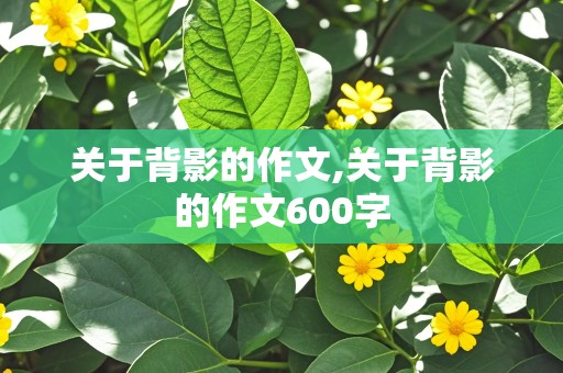 关于背影的作文,关于背影的作文600字