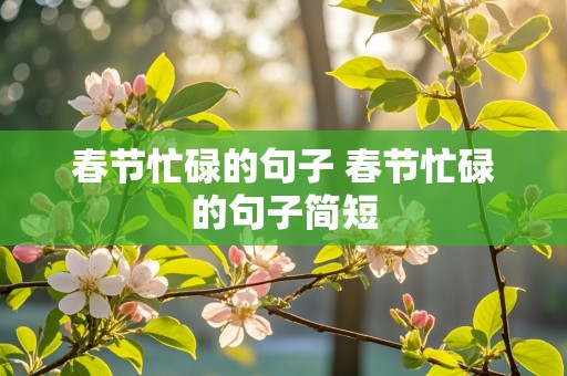 春节忙碌的句子 春节忙碌的句子简短