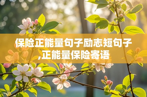 保险正能量句子励志短句子,正能量保险寄语