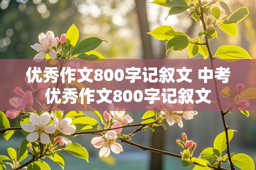 优秀作文800字记叙文 中考优秀作文800字记叙文