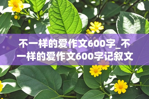 不一样的爱作文600字_不一样的爱作文600字记叙文