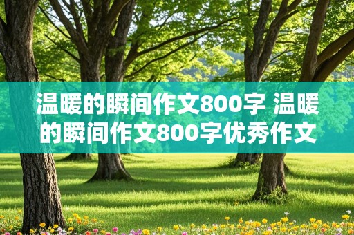 温暖的瞬间作文800字 温暖的瞬间作文800字优秀作文