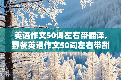 英语作文50词左右带翻译,野餐英语作文50词左右带翻译