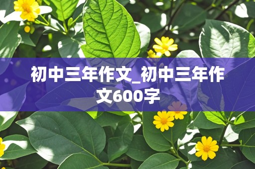 初中三年作文_初中三年作文600字