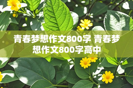 青春梦想作文800字 青春梦想作文800字高中