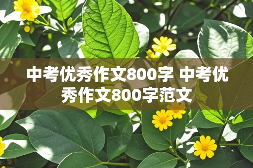 中考优秀作文800字 中考优秀作文800字范文