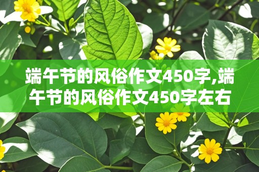 端午节的风俗作文450字,端午节的风俗作文450字左右