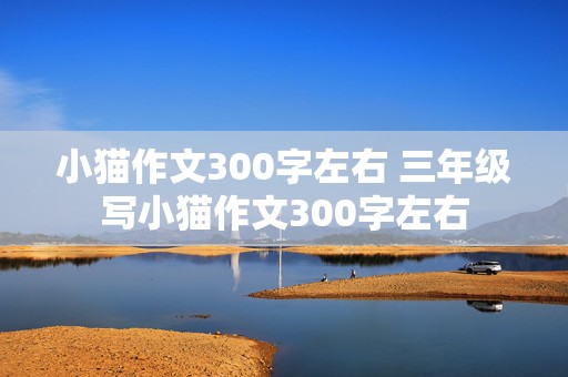 小猫作文300字左右 三年级写小猫作文300字左右