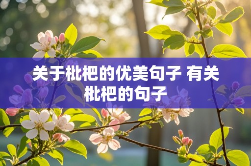 关于枇杷的优美句子 有关枇杷的句子