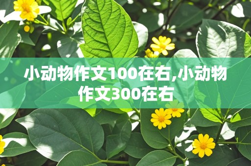 小动物作文100在右,小动物作文300在右