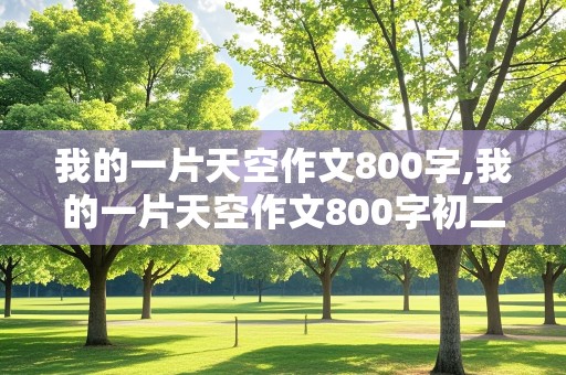 我的一片天空作文800字,我的一片天空作文800字初二