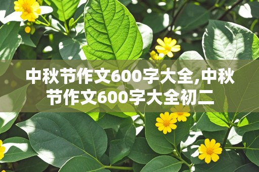 中秋节作文600字大全,中秋节作文600字大全初二