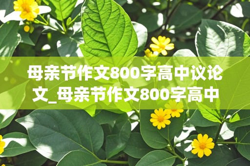 母亲节作文800字高中议论文_母亲节作文800字高中议论文故事素材