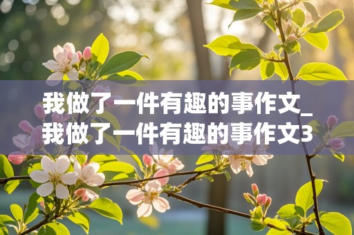 我做了一件有趣的事作文_我做了一件有趣的事作文300字