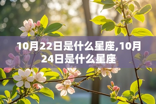 10月22日是什么星座,10月24日是什么星座