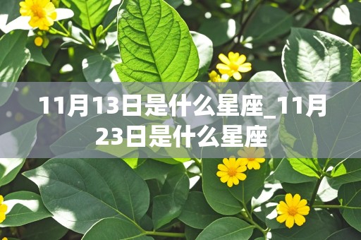 11月13日是什么星座_11月23日是什么星座