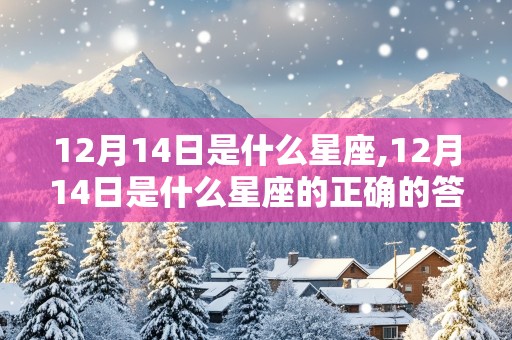 12月14日是什么星座,12月14日是什么星座的正确的答案