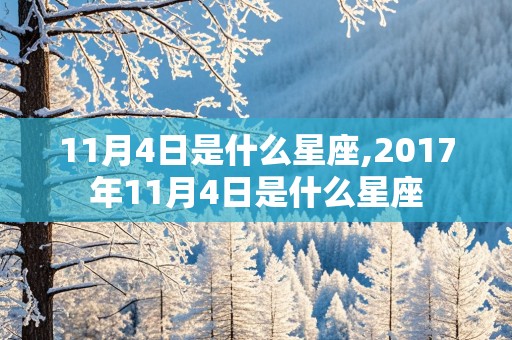 11月4日是什么星座,2017年11月4日是什么星座