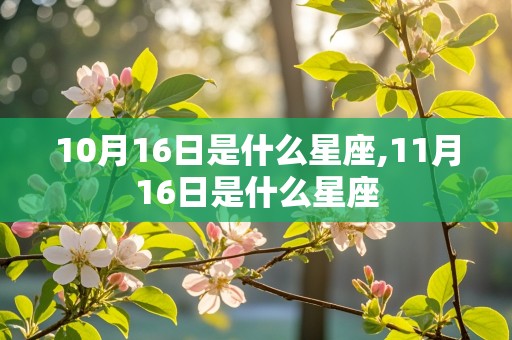 10月16日是什么星座,11月16日是什么星座