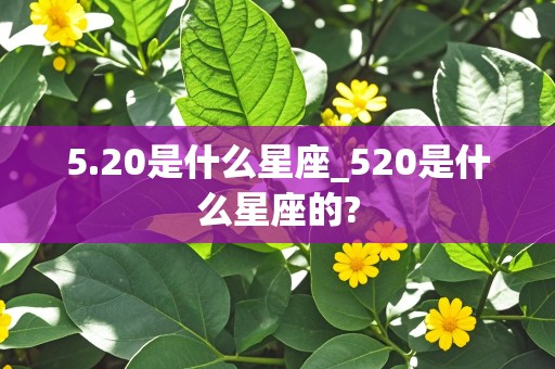 5.20是什么星座_520是什么星座的?