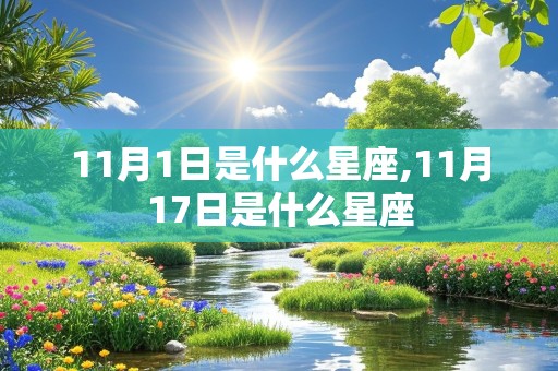 11月1日是什么星座,11月17日是什么星座