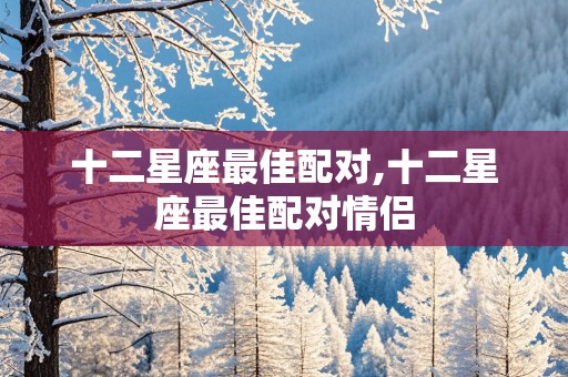 十二星座最佳配对,十二星座最佳配对情侣