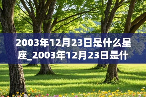 2003年12月23日是什么星座_2003年12月23日是什么星座?