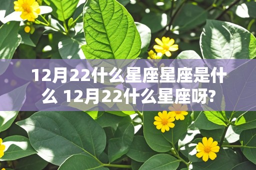 12月22什么星座星座是什么 12月22什么星座呀?