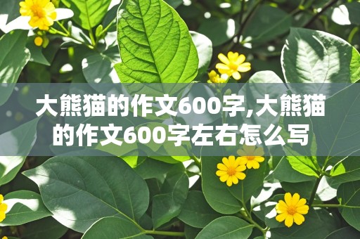 大熊猫的作文600字,大熊猫的作文600字左右怎么写