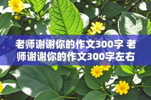 老师谢谢你的作文300字 老师谢谢你的作文300字左右