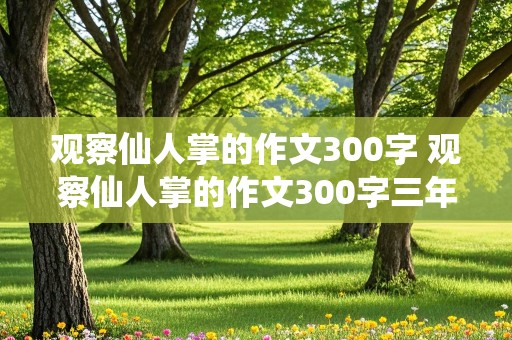 观察仙人掌的作文300字 观察仙人掌的作文300字三年级