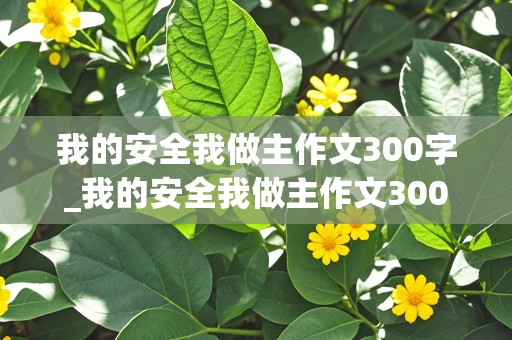 我的安全我做主作文300字_我的安全我做主作文300字左右